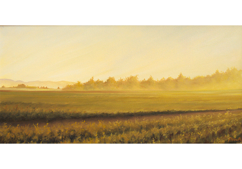 CARLY BROCK | JAN HOY