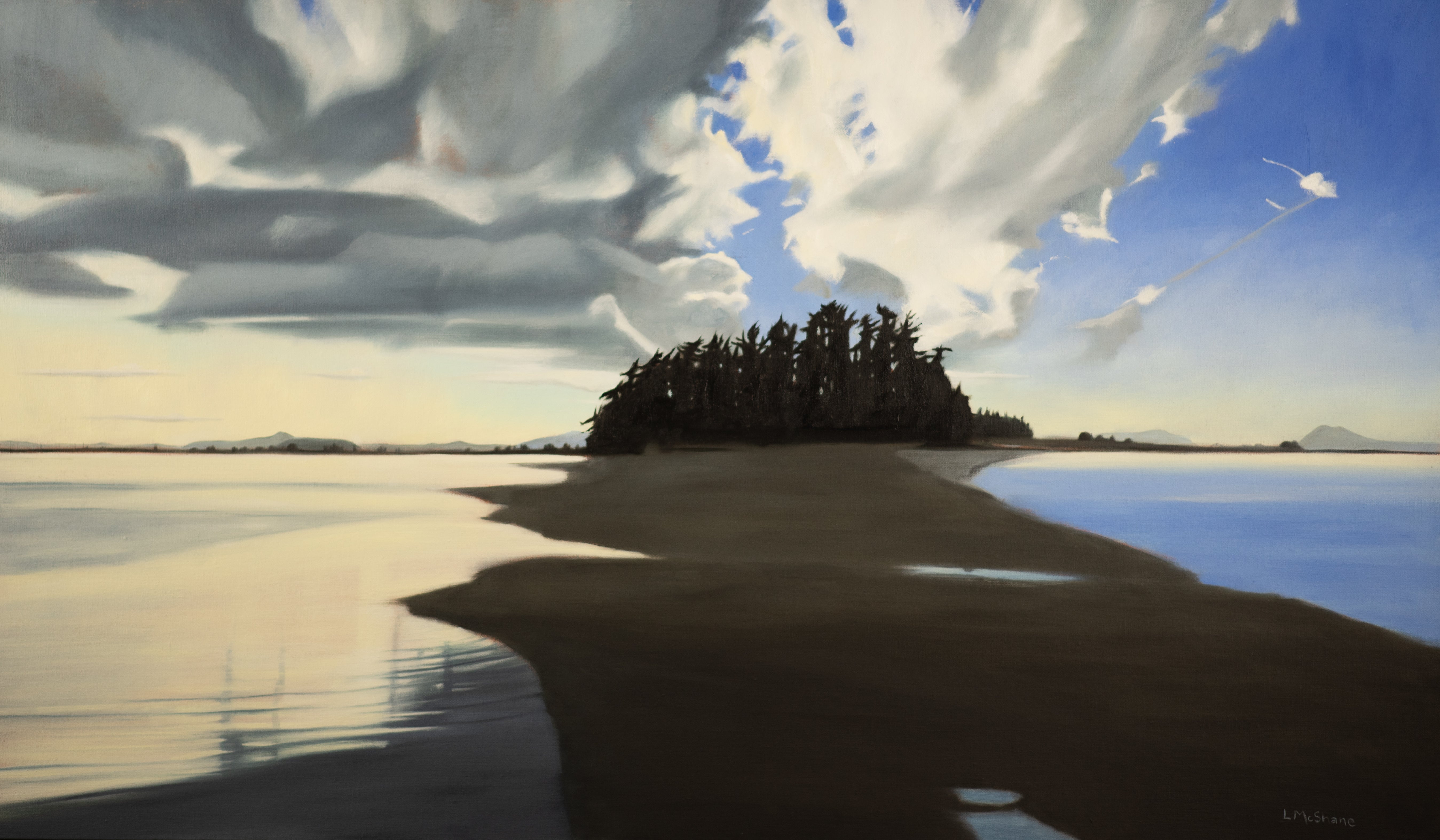 LISA MCSHANE | ANN MORRIS