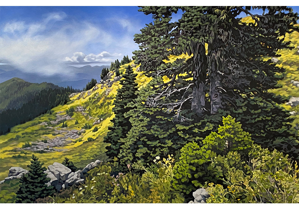 Becky Fletcher | Dan Friday