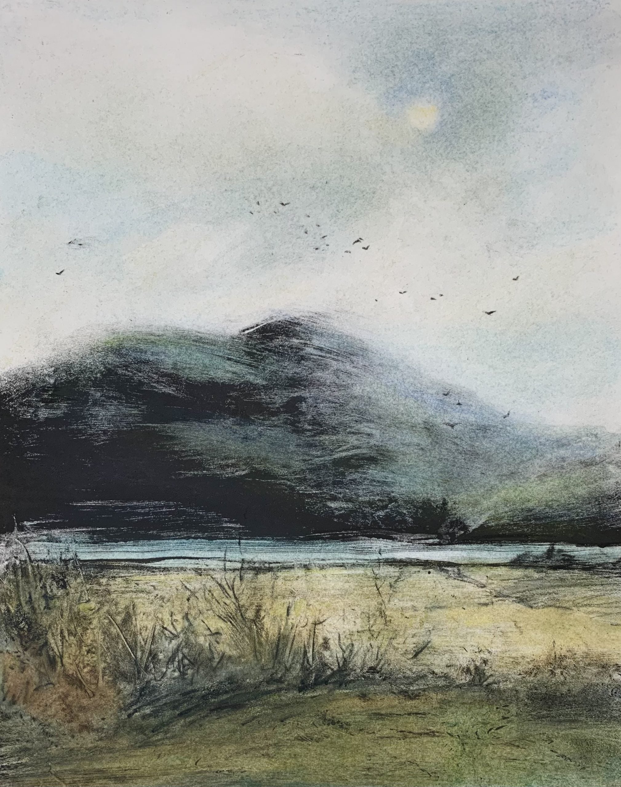 THE FLEX GALLERY • PAMELA WACHTLER