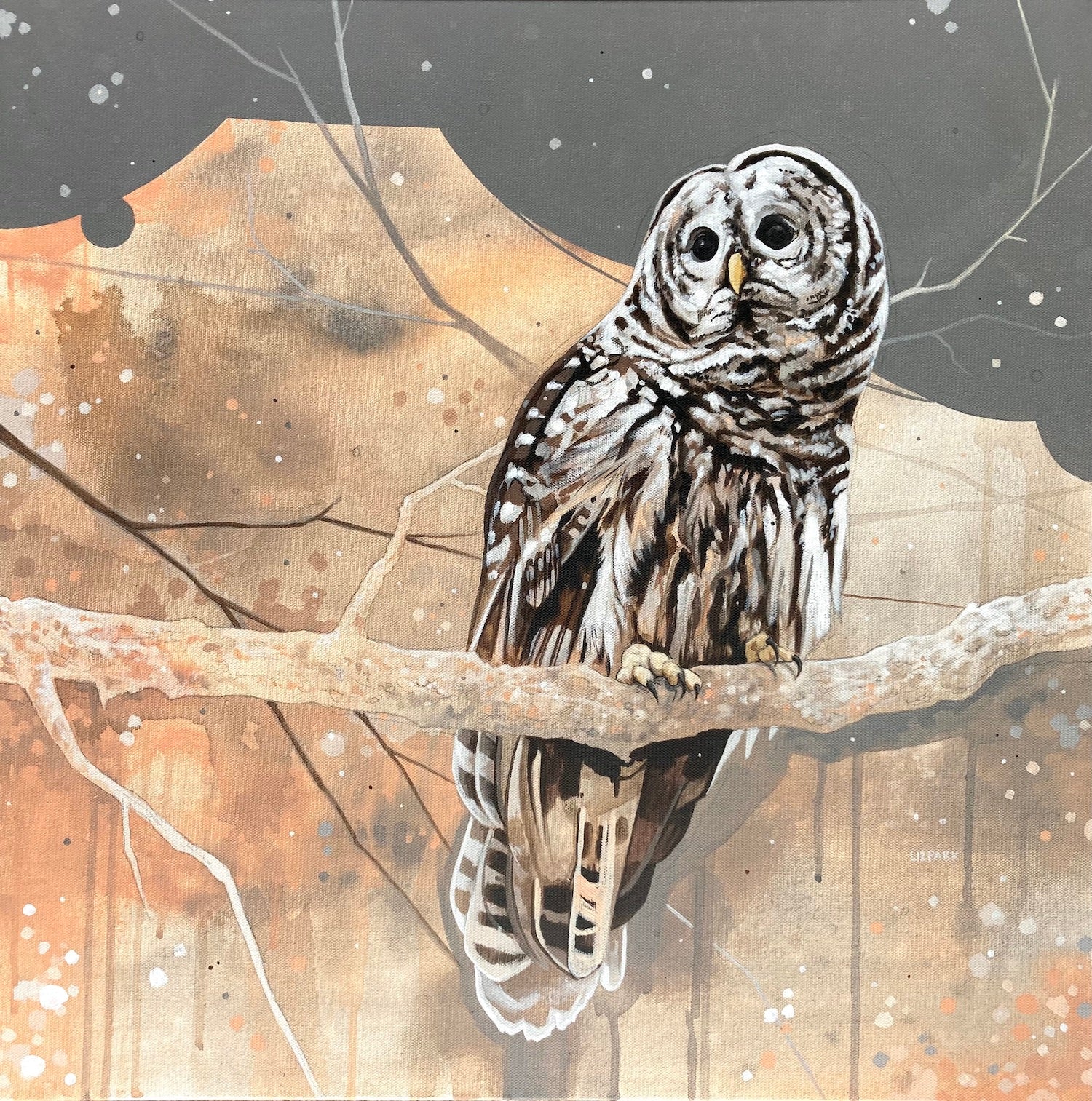 THE FLEX • LIZ PARK