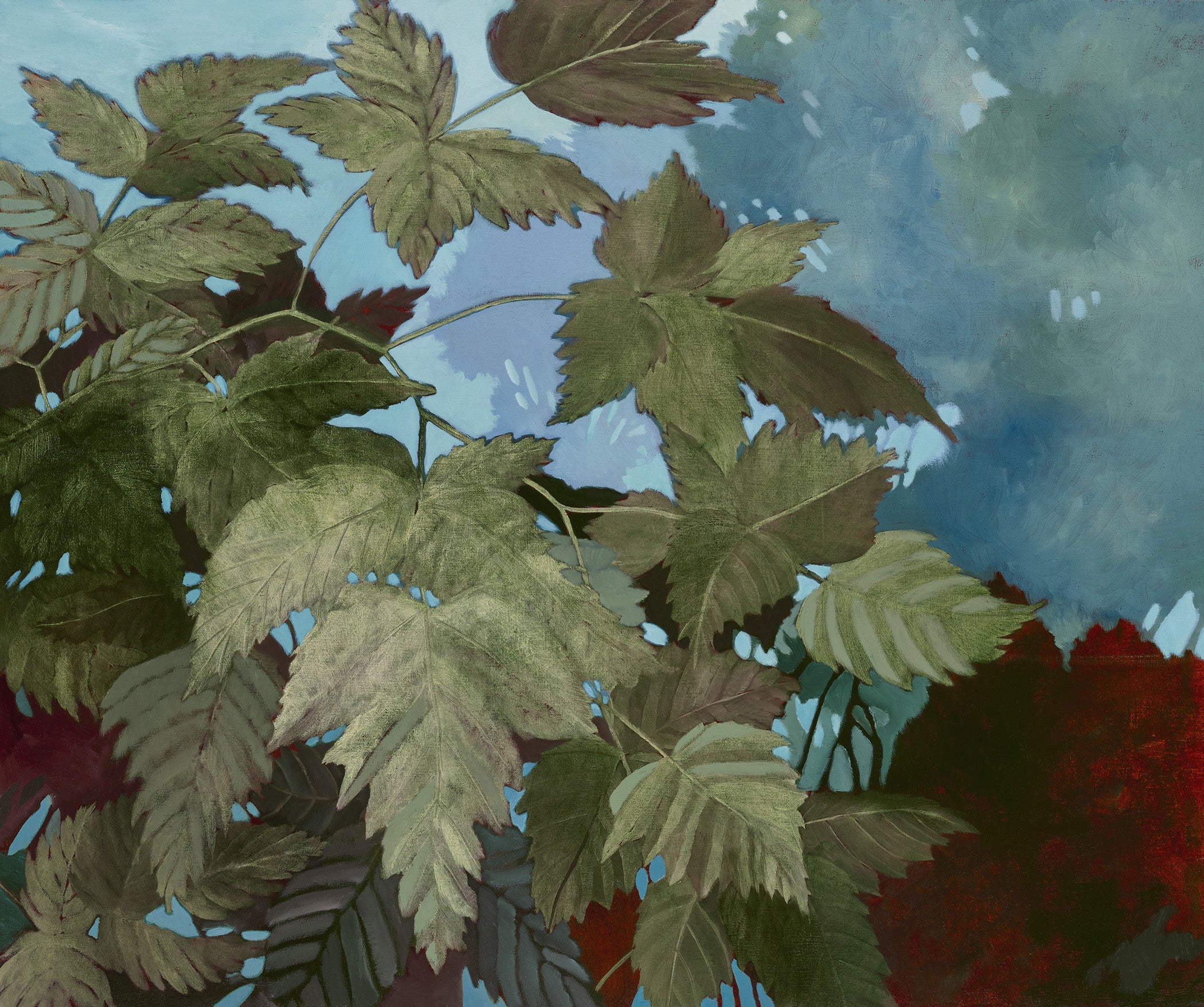 Rob Vetter | Peregrine O'Gormley