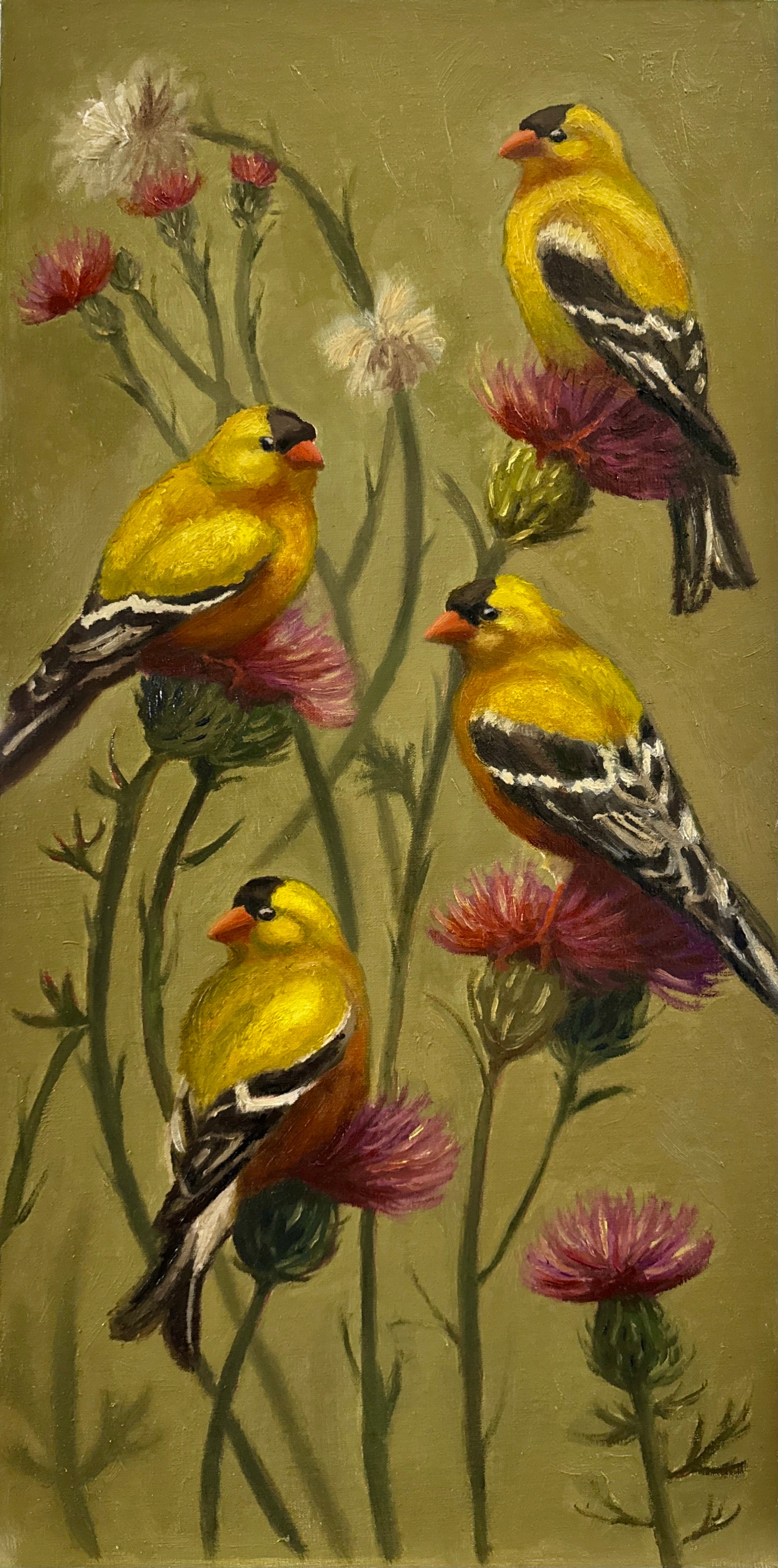 Patricia Halsell  • A Charm of Goldfinches