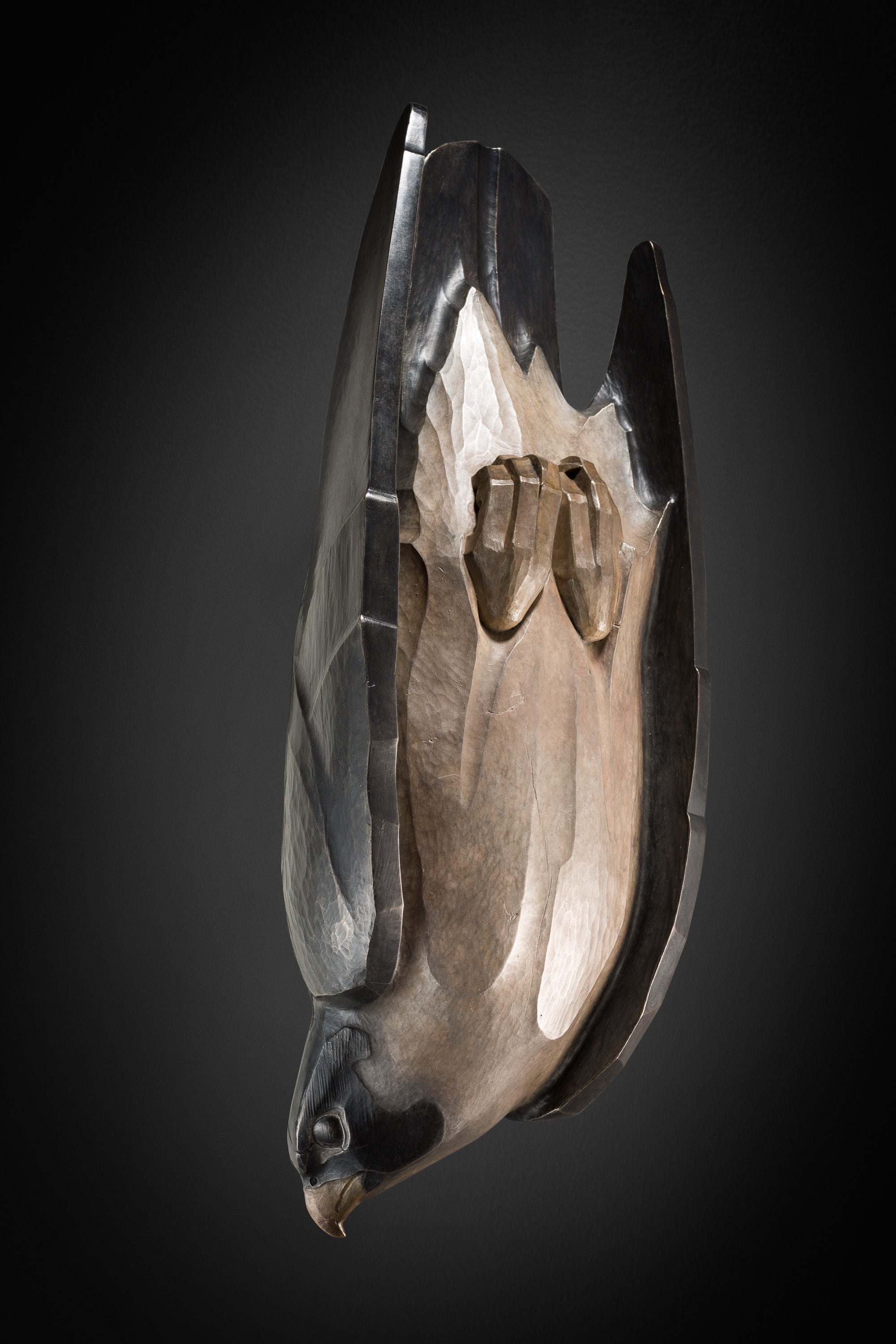 Peregrine O'Gormley • Angelorum