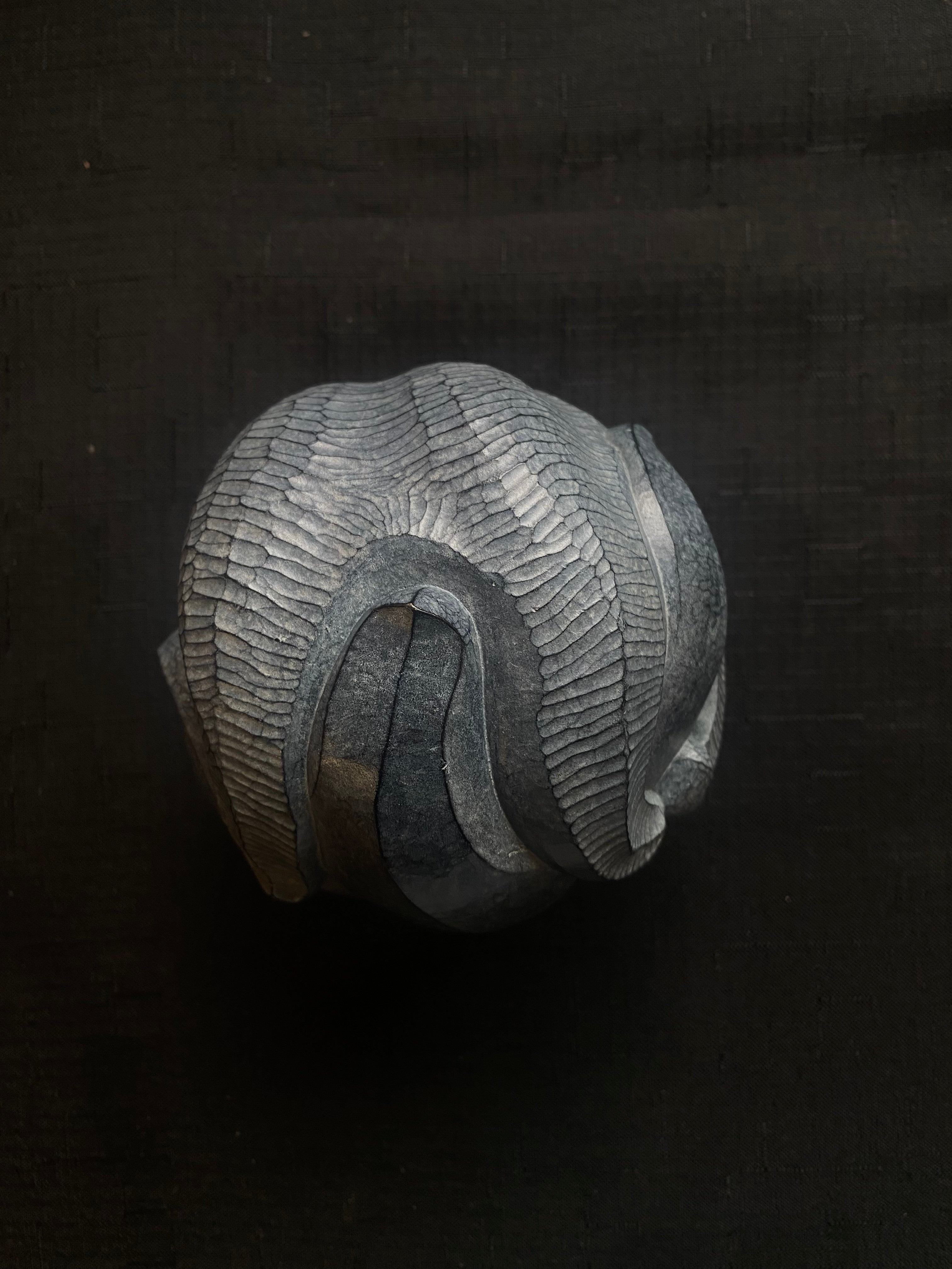 Peregrine O'Gormley • Starcrossed II (2/25)