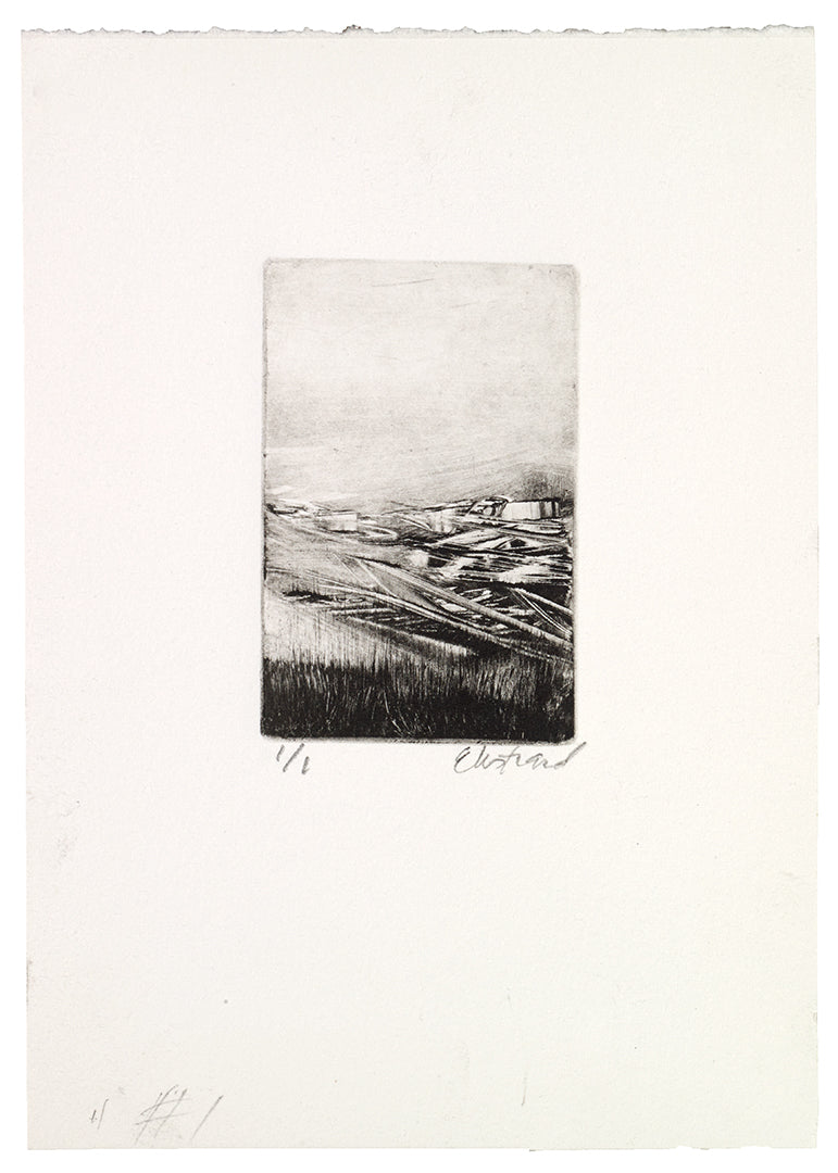 Kris Ekstrand • Coastal Debris l