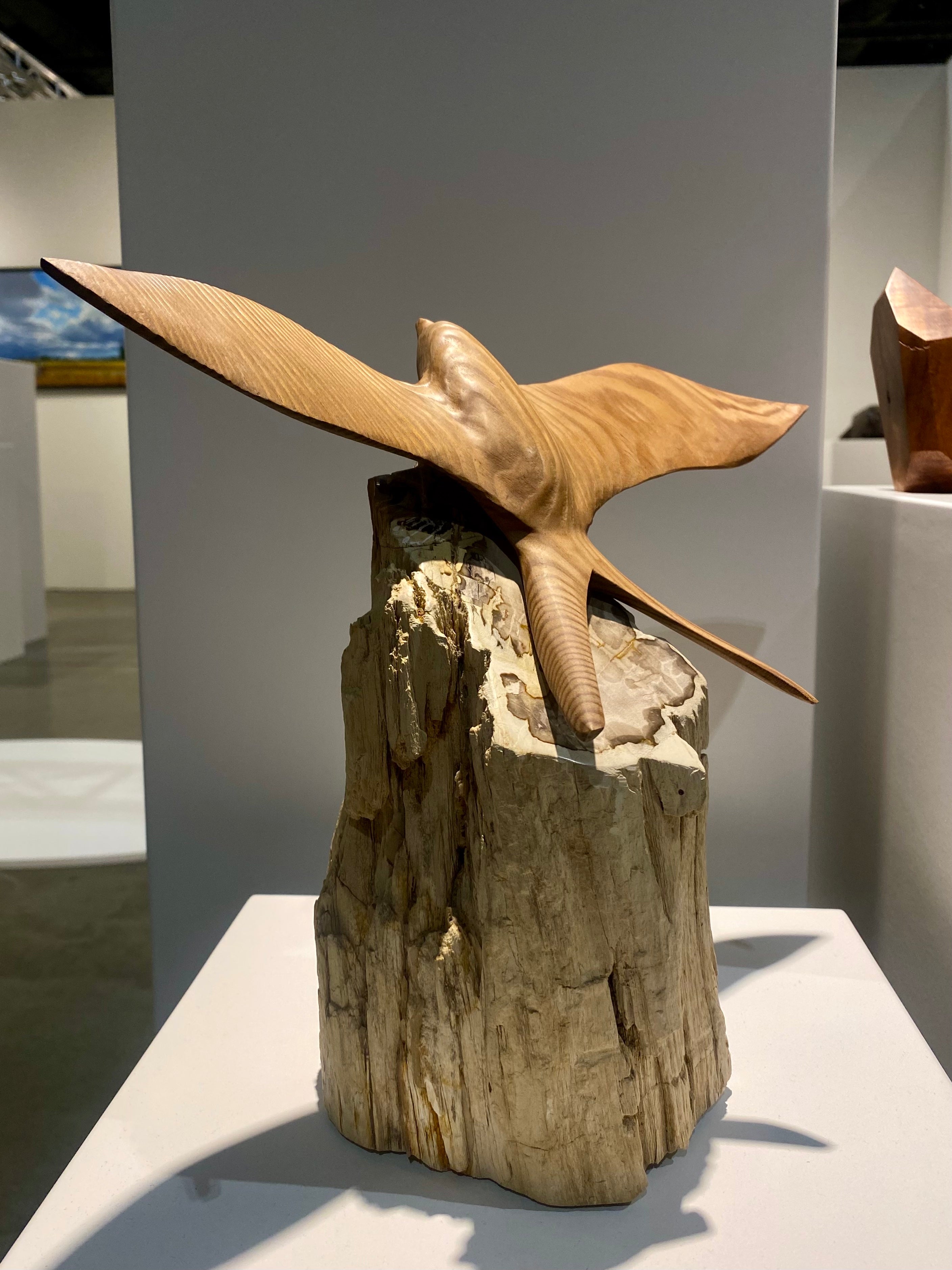 Andrew Vallee • Petrified Swallow No. 1