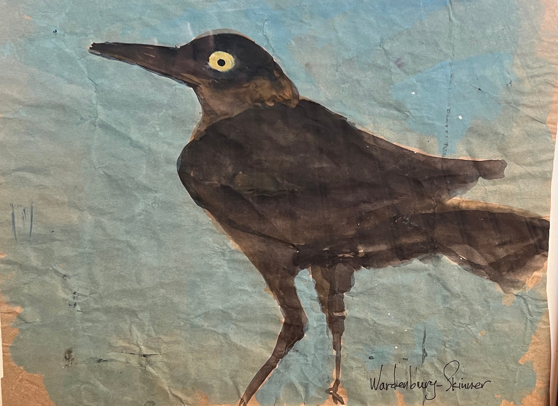 Christine Wardenburg-Skinner • Great Tailed Grackle