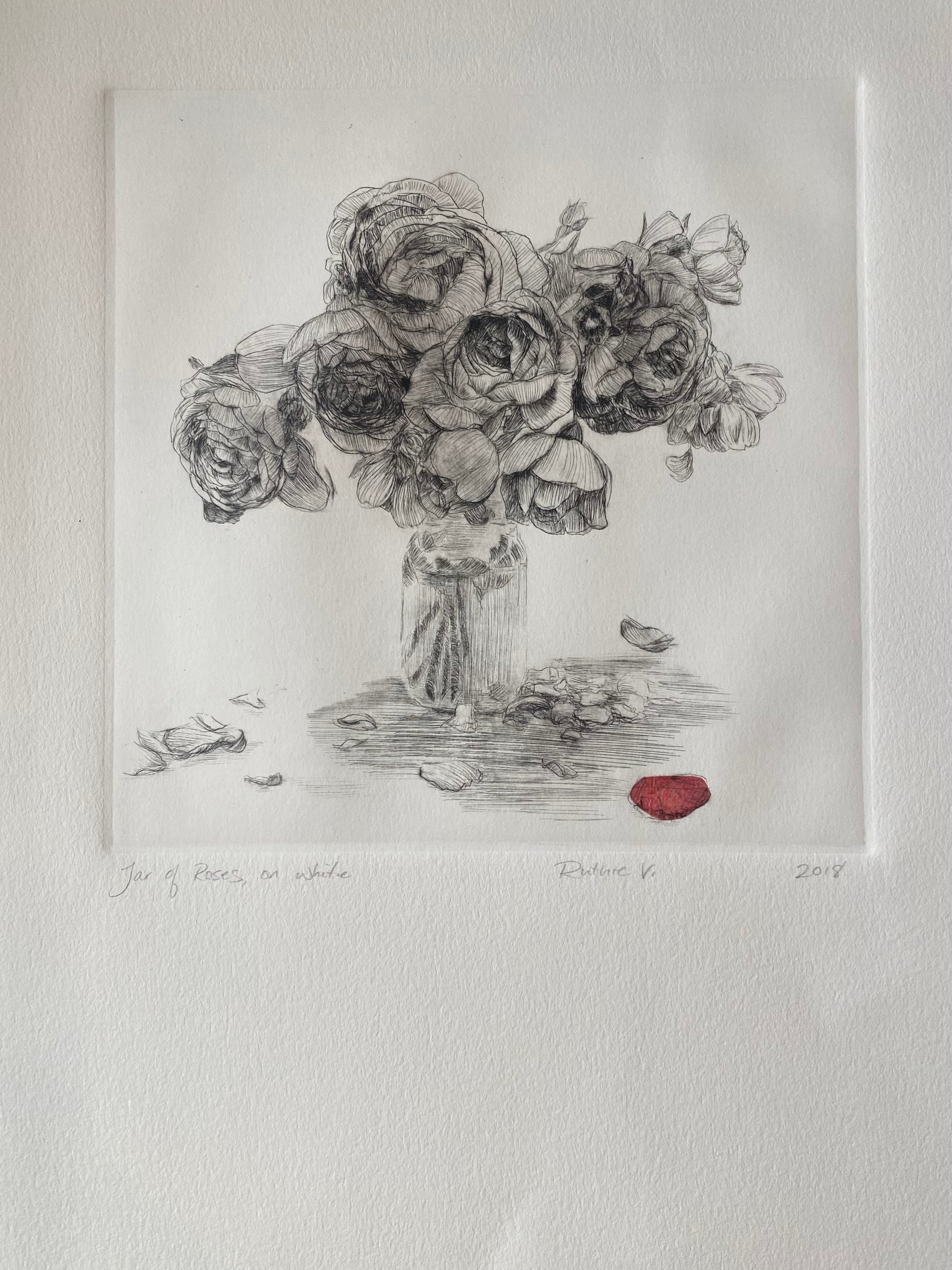 Ruthie V. • Jar of Roses, On White (Red Petal)