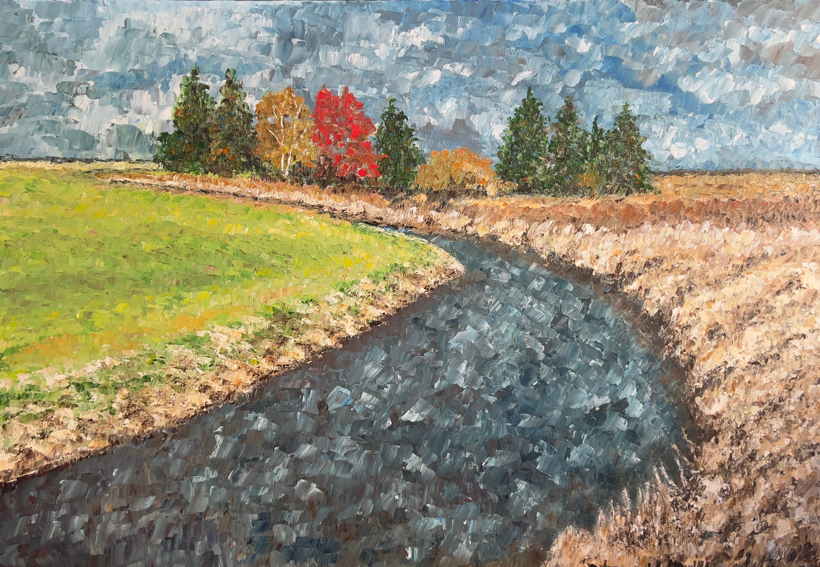 Roger Small • Fir Island Slough