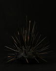 Andrew Vallee • Sea Urchin, Black