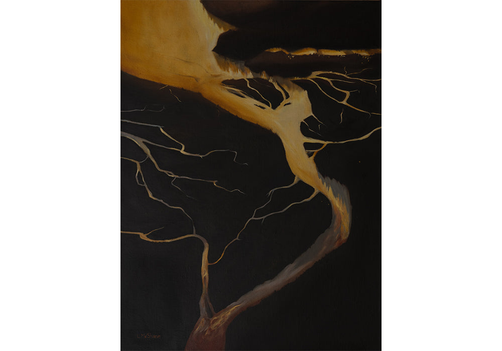 Lisa McShane • Antecedent for Surge: The Delta of the North Fork in May 2023