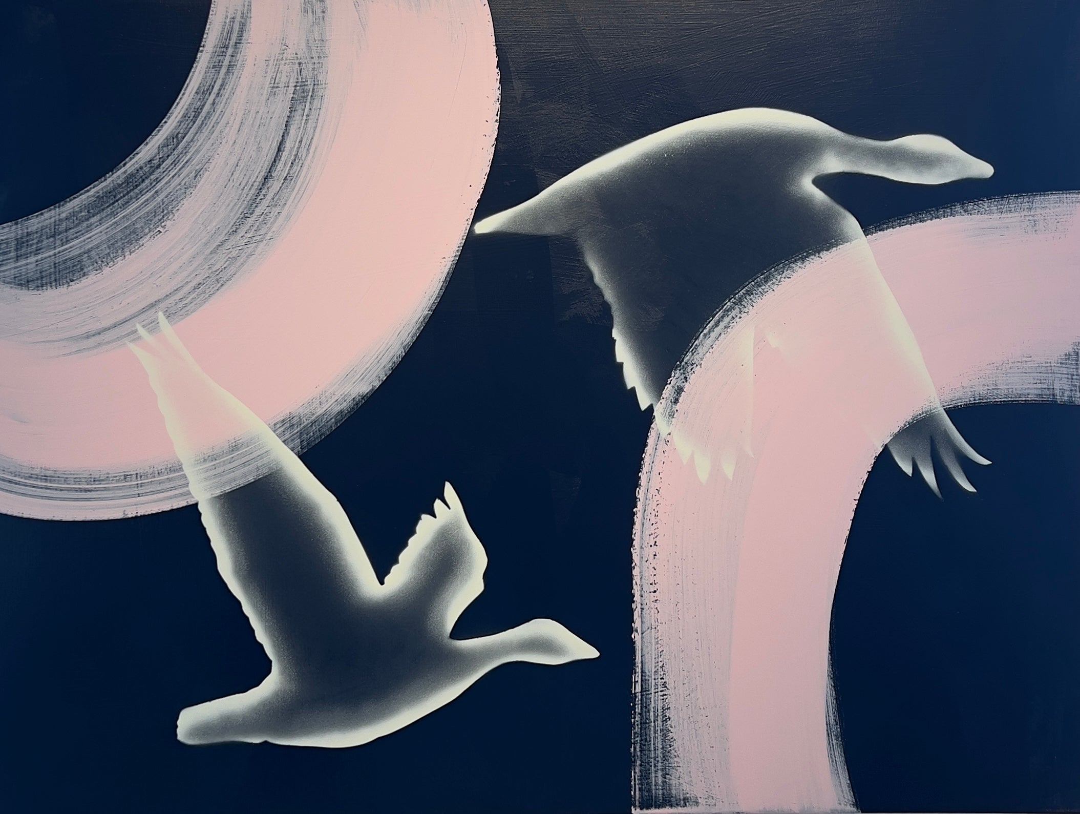 Andrew Vallee • Northwest Night Geese in Pink Light