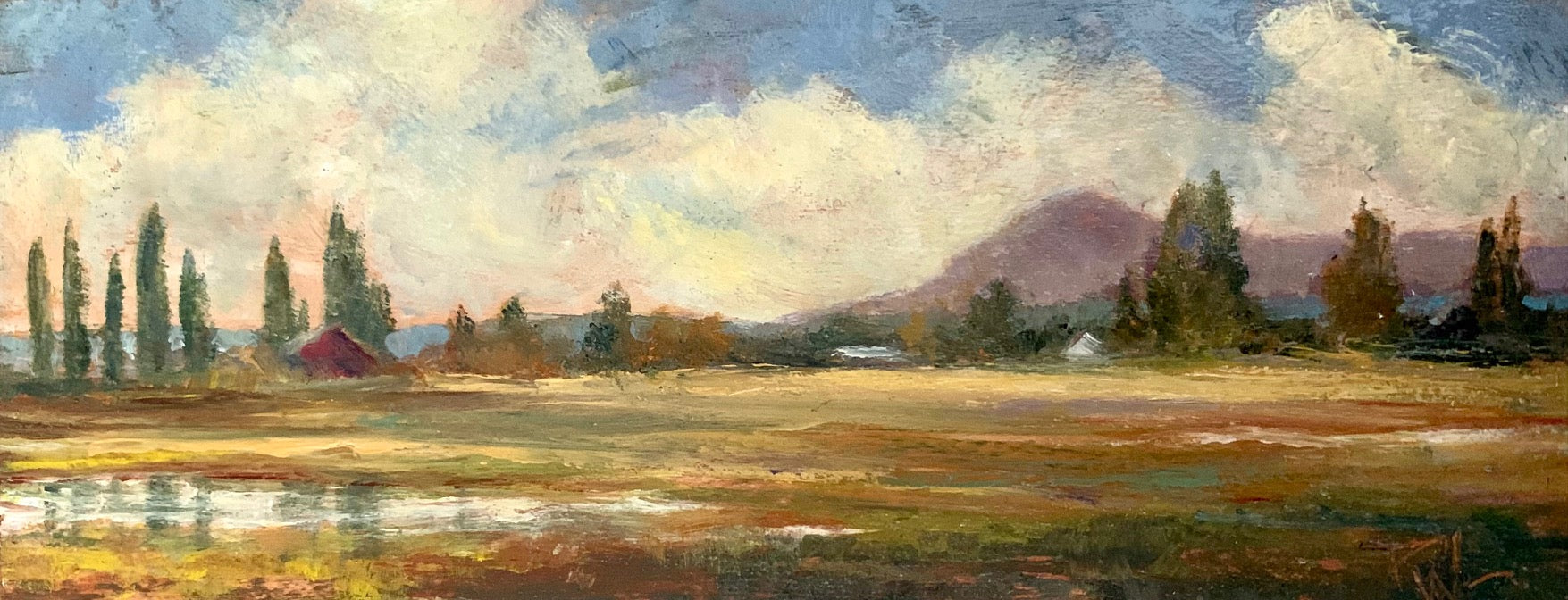 PAMELA WACHTLER • Across the Wide Landscape