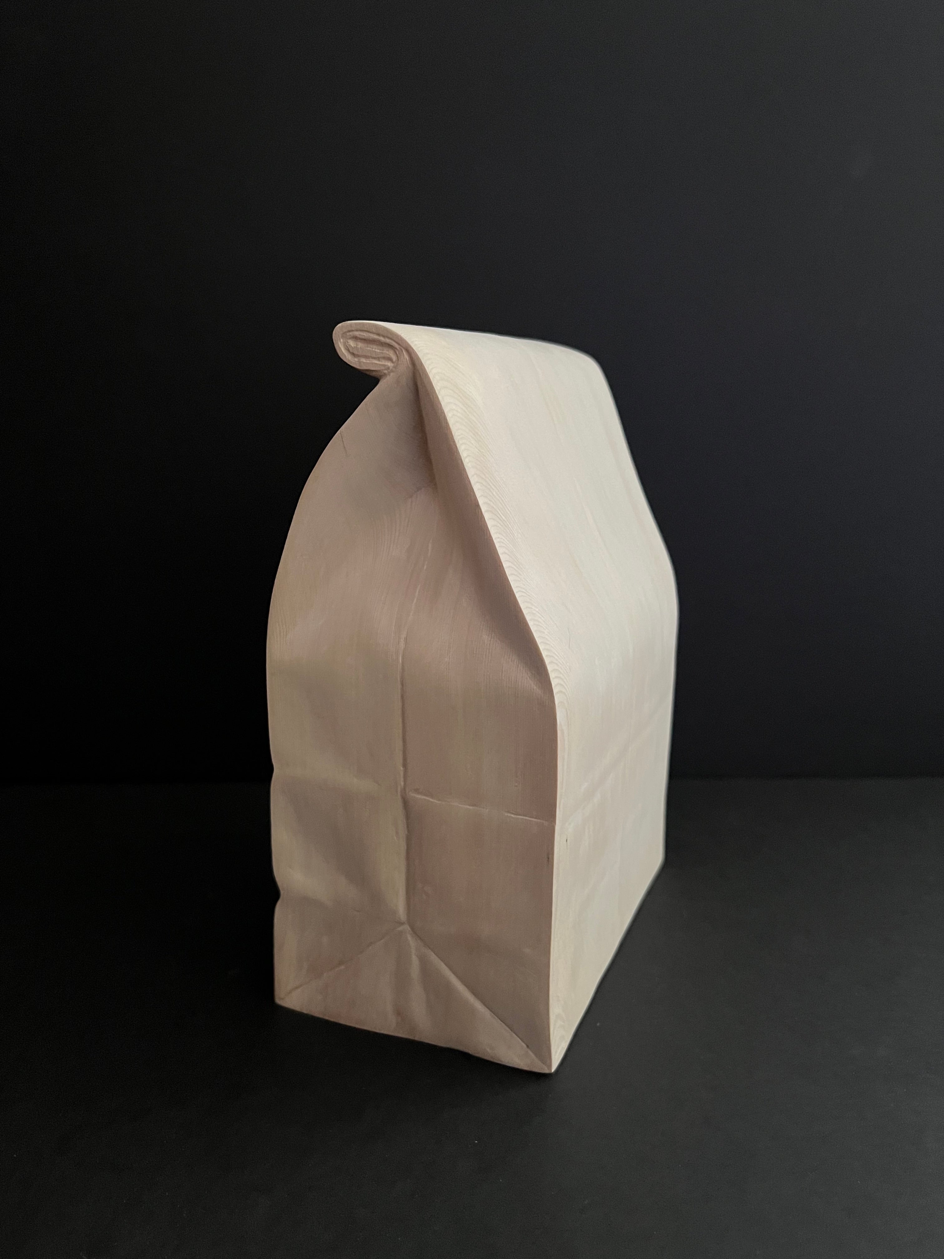 Marceil DeLacy • Paper Bag 2