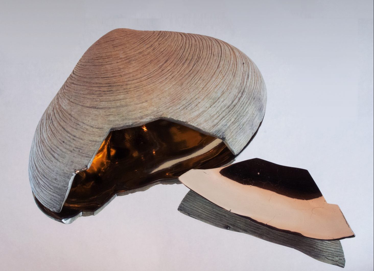 Andrew Vallees Show work  Bronze Clam e