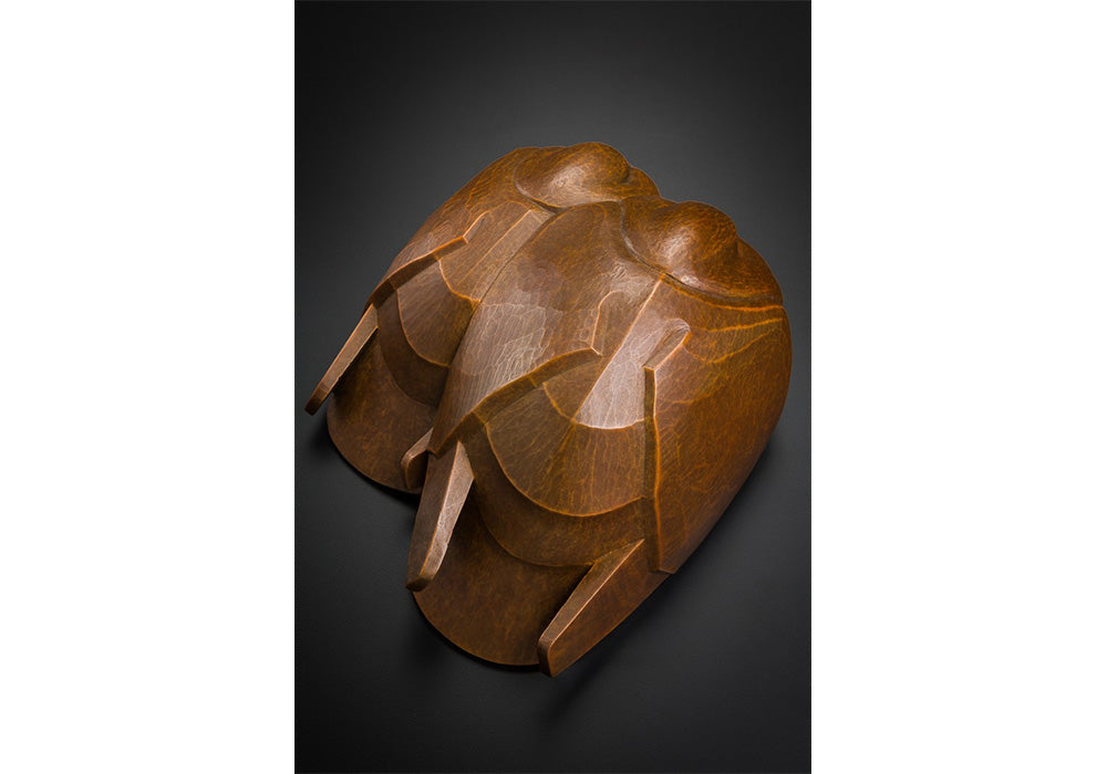 Peregrine O'Gormley • Cold