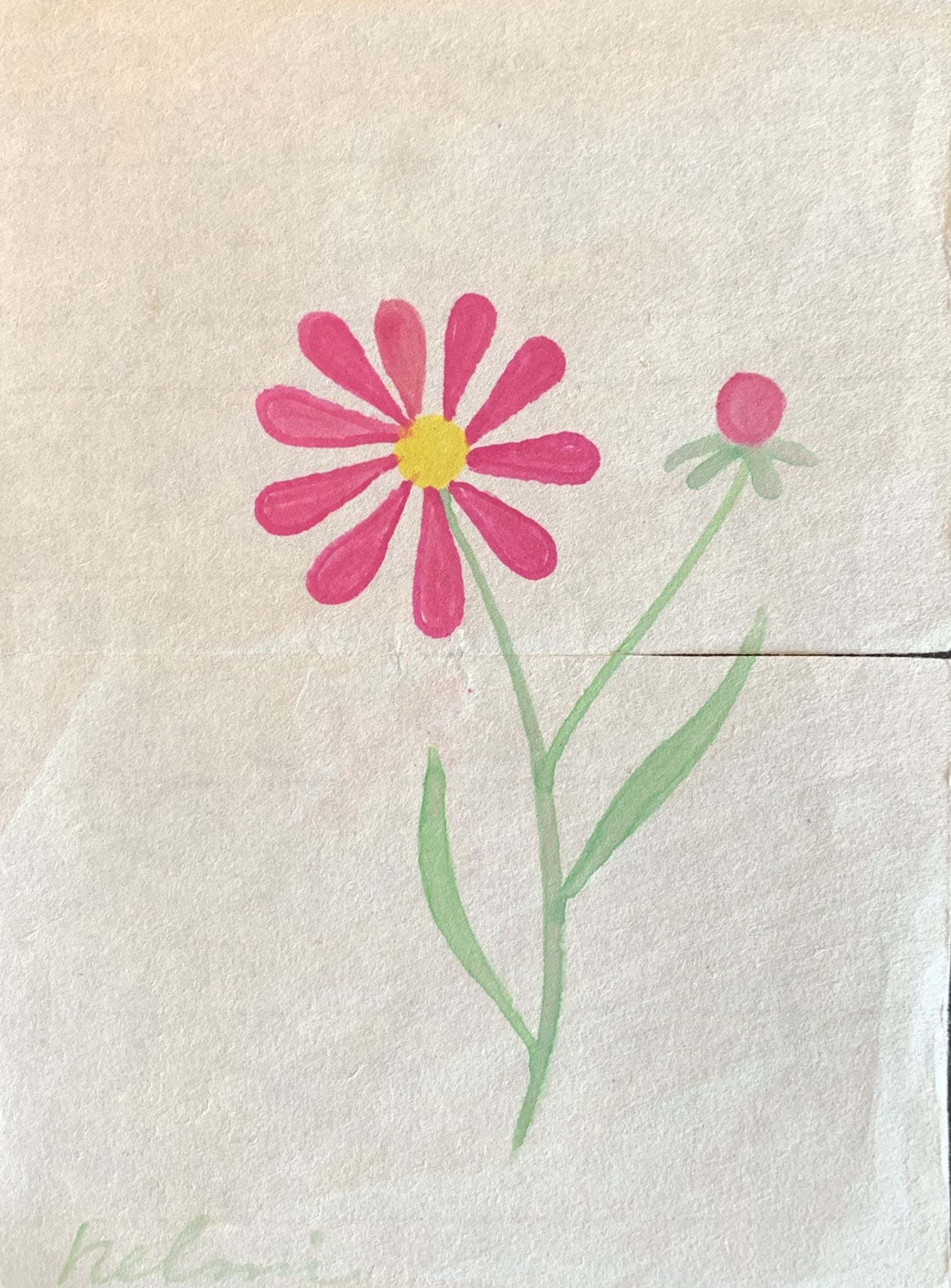 Helmi Juvonen • Pink Flower