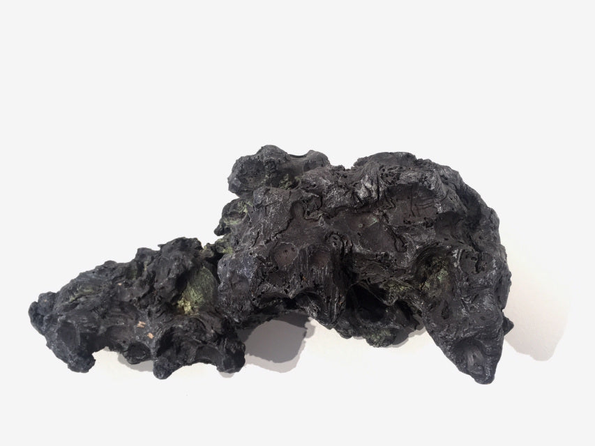 Life bearing Meterorite