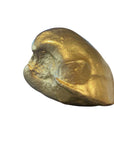 Jean Behnke • Clam Fossil Series: Origin 6