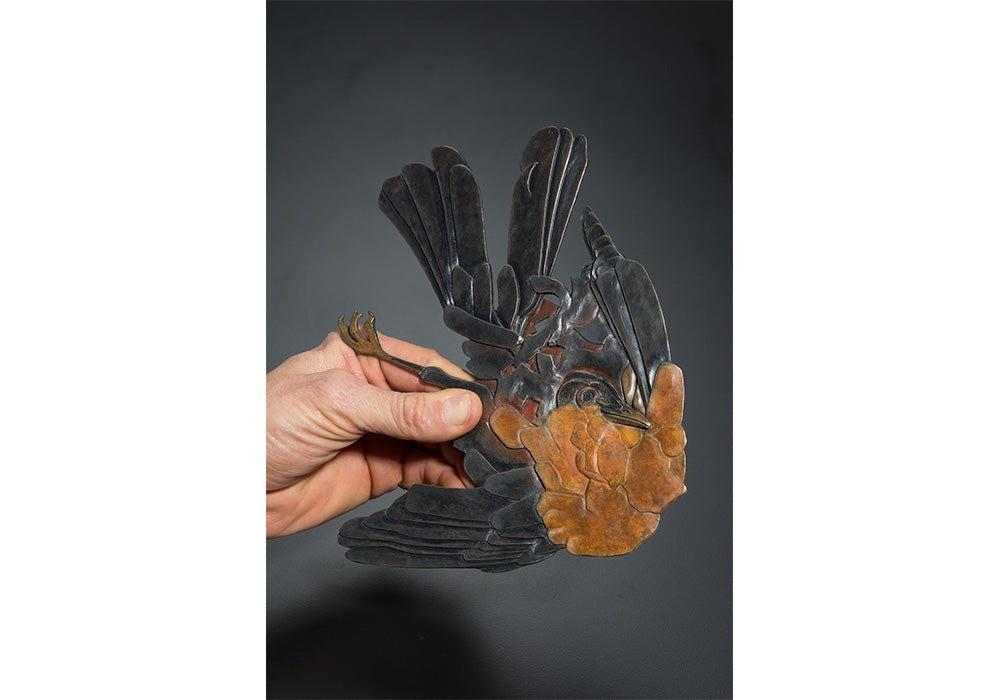 Peregrine O'Gormley • Robin (Road Scholar Series)