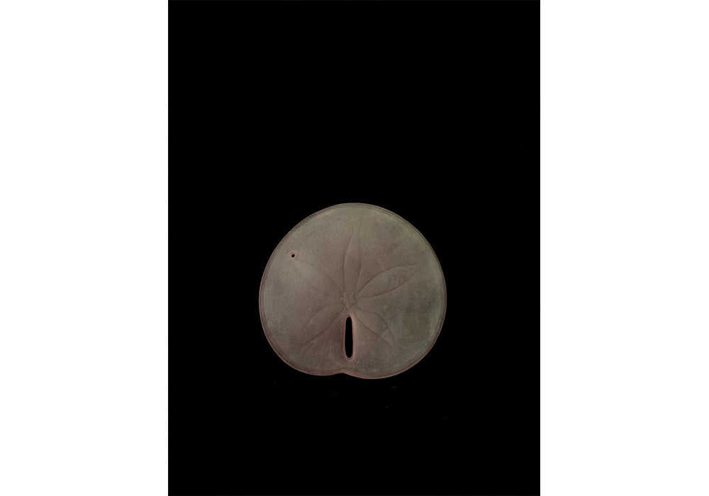 Peregrine O'Gormley • See Through (Cast Glass)