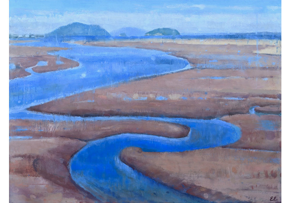 Eric Eschenbach • Swinomish Slough