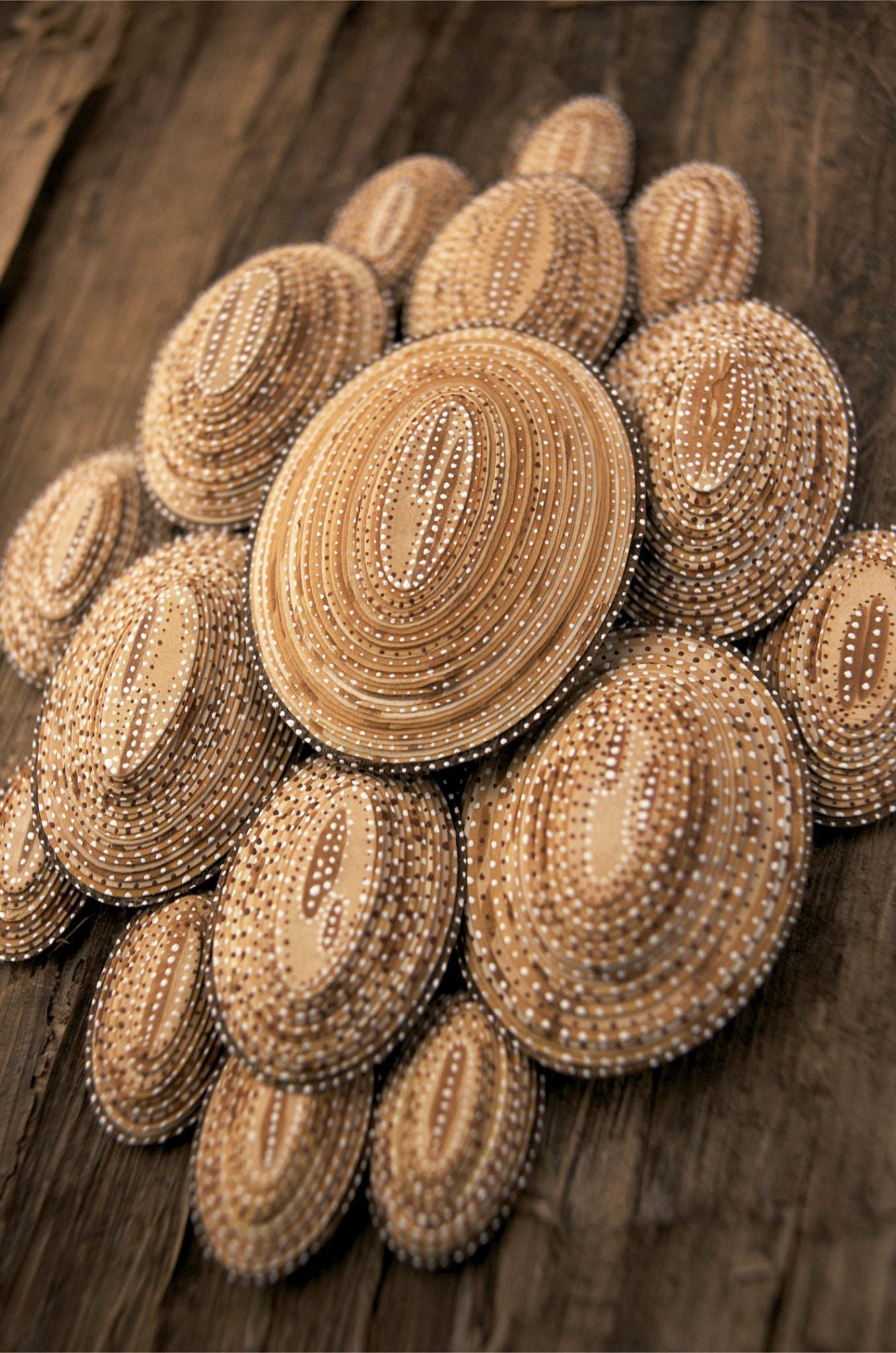 sown seeds detail