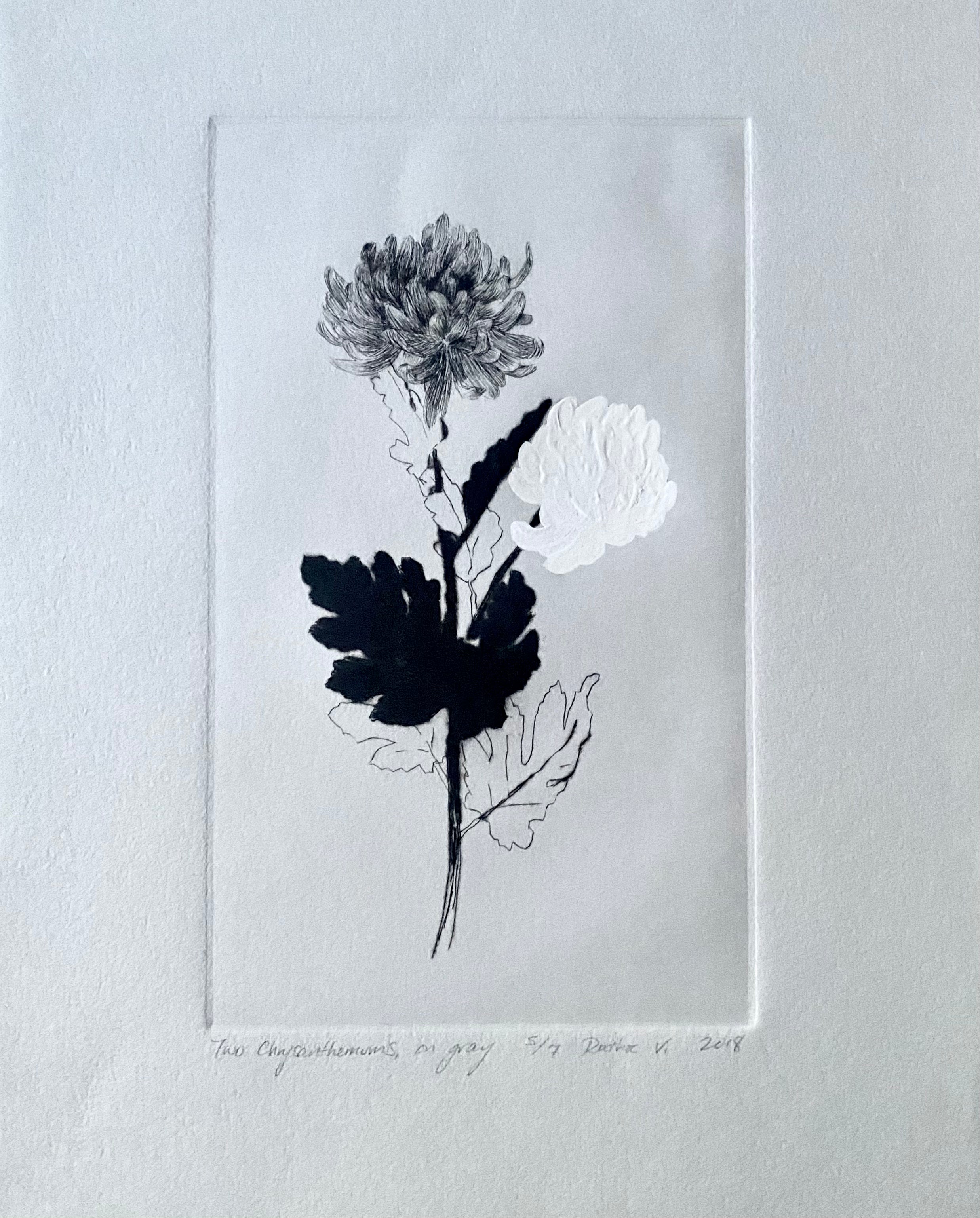 Ruthie V. • Two Chrysanthemums, On Gray (5/7)