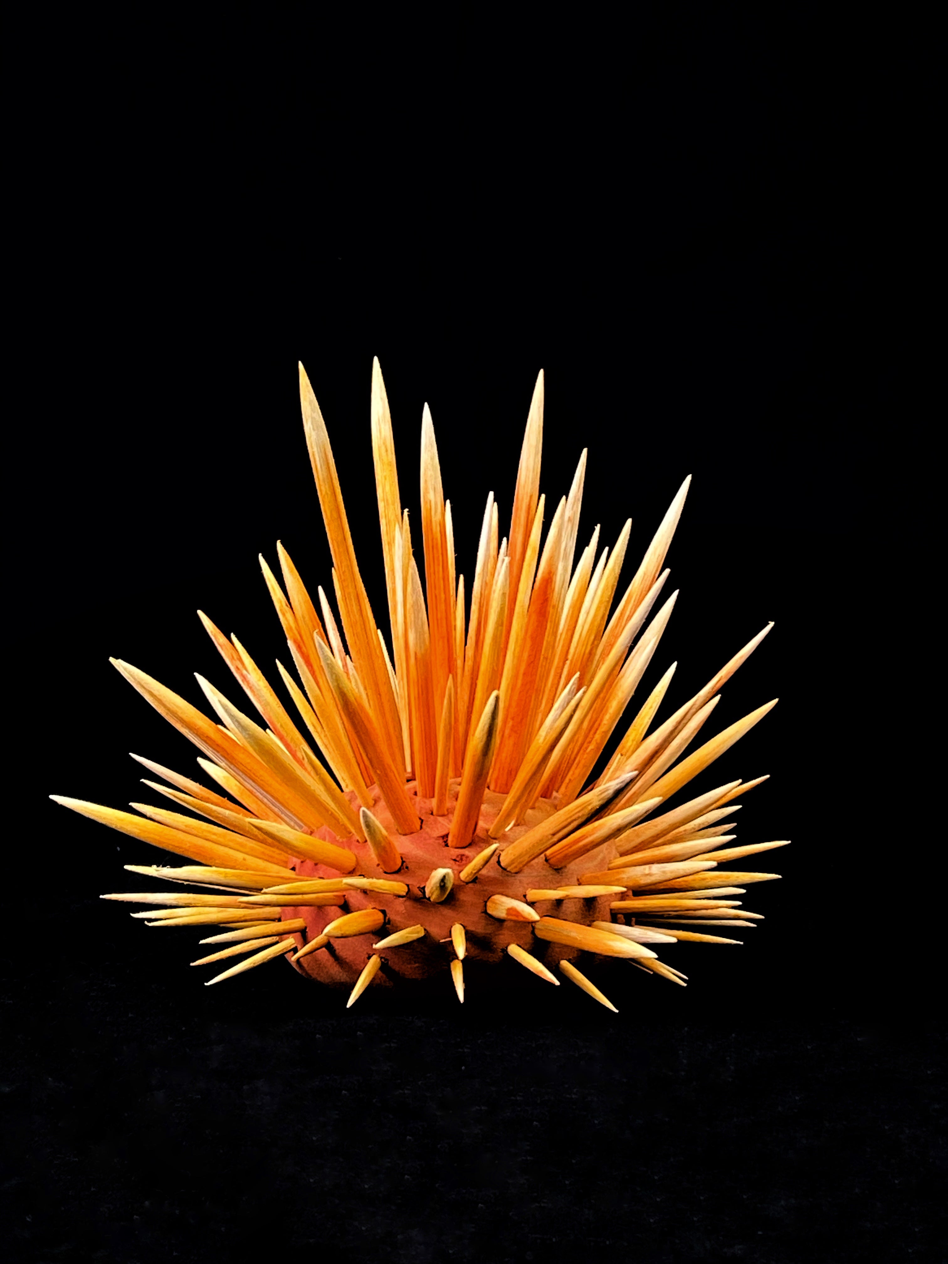 Andrew Vallee • Sea Urchin, Orange