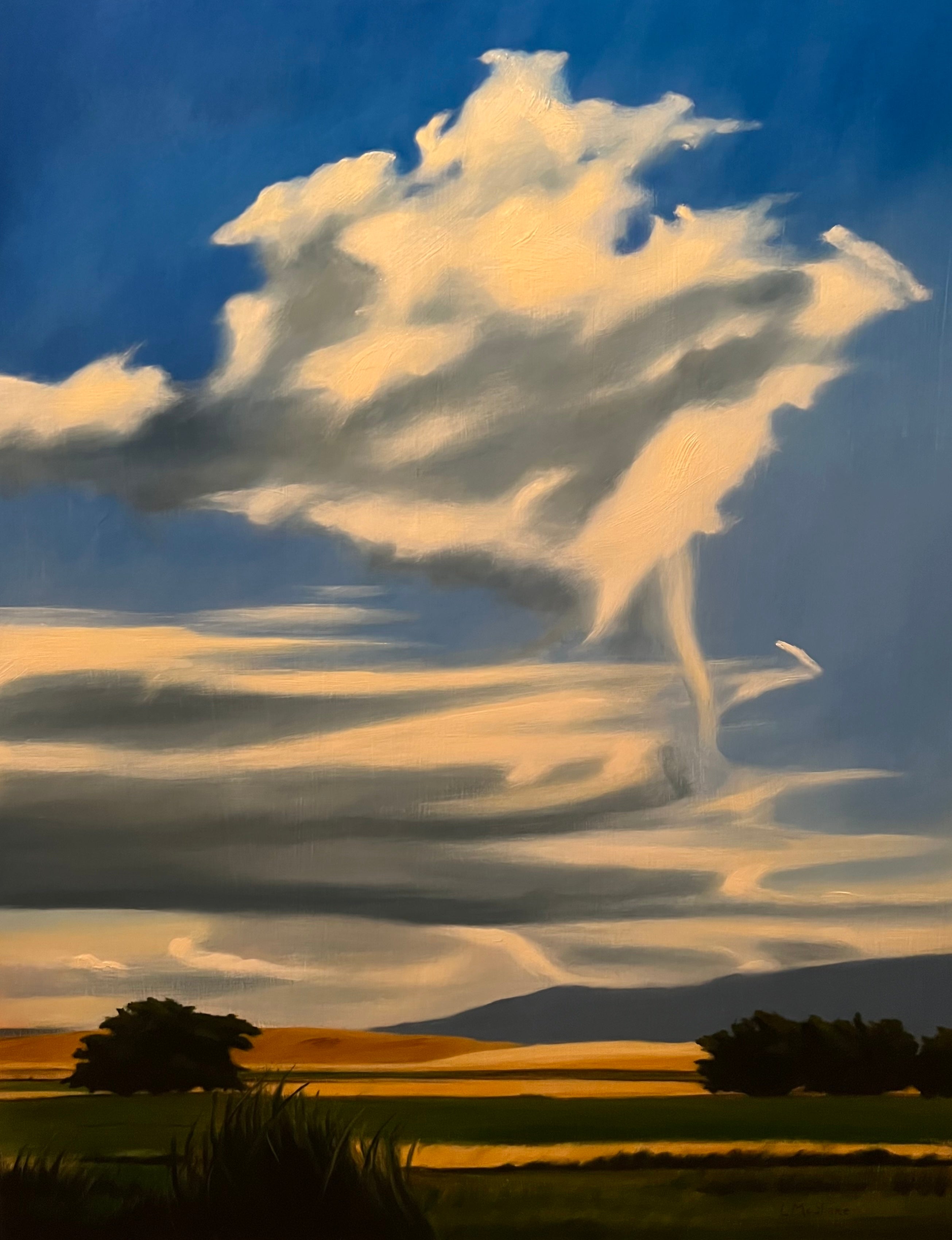 Lisa McShane • Summer Clouds Near Baker City