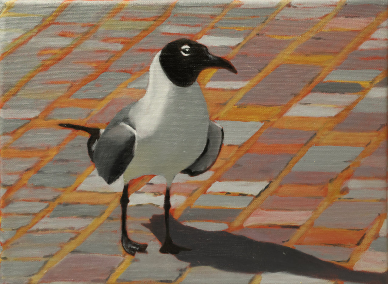 Fowl Play • Patty McNamee | Laughing Gull, Contemplation