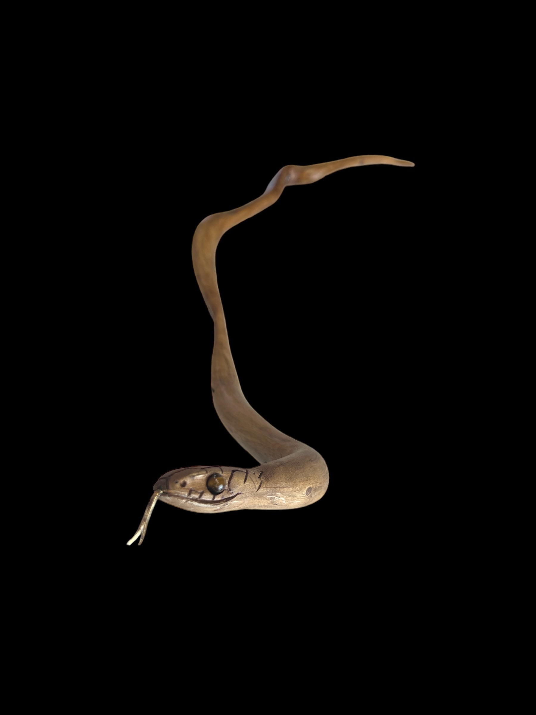 Andrew Vallee • Tiger Snake