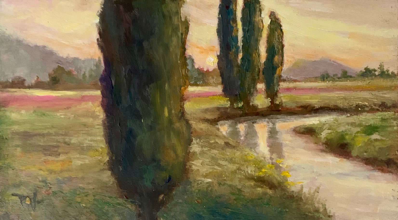 Collection Image