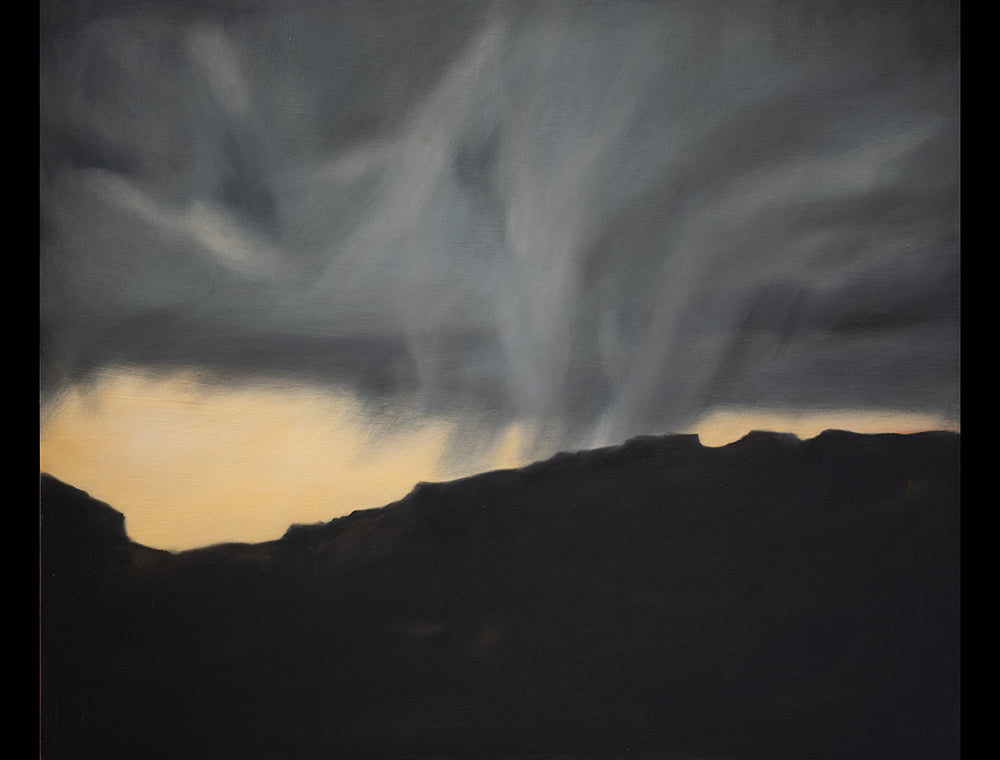 Lisa McShane • Storm in the Valley