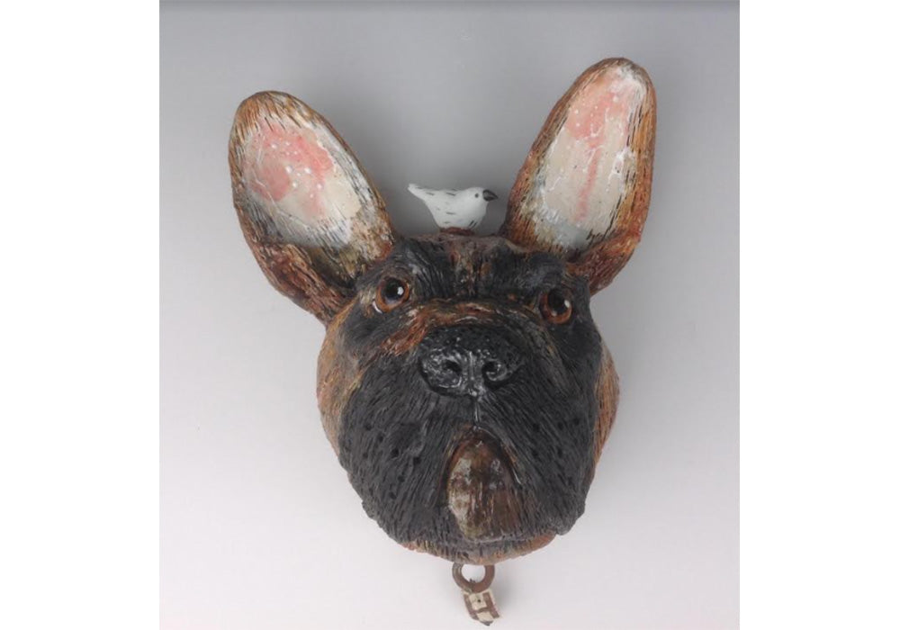 Joanne Bohannon • Brown Frenchie