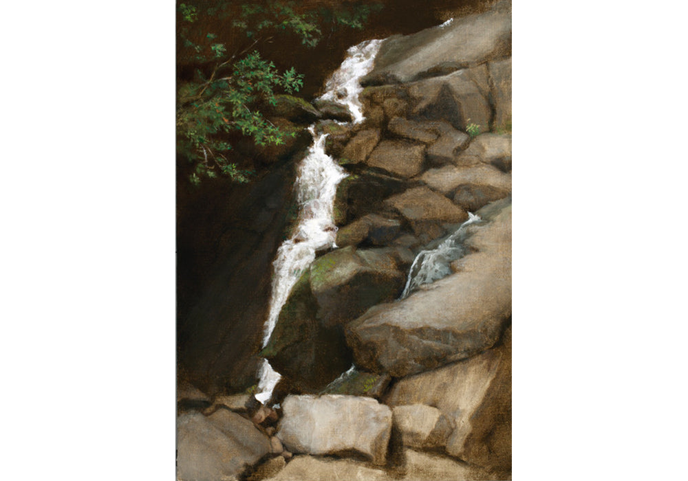 Lolly Shera • Mason Creek Falls